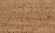 378v NN