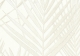 Обои Sirpi Muralto Fashion 30701
